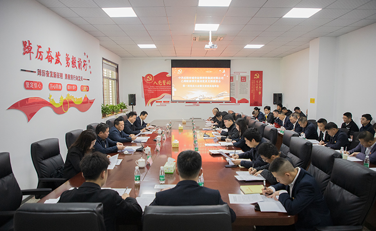 乙烯路上黨旗紅 乙烯配套項目流動黨員黨支部成立大會召開