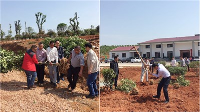 市交建投組織開展五一勞動節(jié)植樹活動
