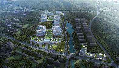 岳陽市中心醫(yī)院項(xiàng)目