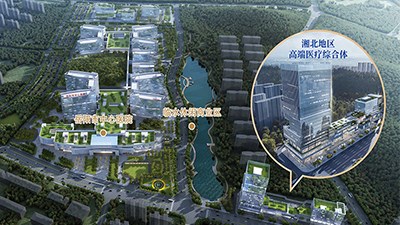 岳陽市中心醫(yī)院配套健康管理中心 湘北地區(qū)健康醫(yī)療綜合體 招商公告