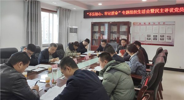 集團公司各黨支部召開“不忘初心 牢記使命”主題教育專題組織生活會