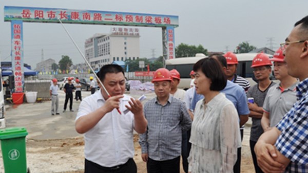 市委副書記、市長李愛武調(diào)研公司長康南路建設(shè)
