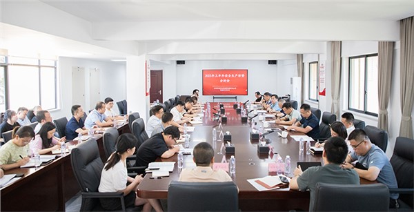 集團召開2023年上半年安全生產(chǎn)形勢分析會